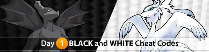 Pokemon Black & Pokemon White
