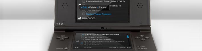 ACTION REPLAY for DSi