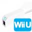 LAN Adapter allows you to connect your wii to the internet using an ethernet network cable