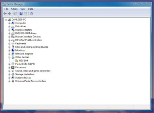 Vista DM NDS link OD.JPG