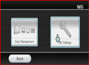 Wii DM or Settings screen.JPG